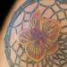 Tattoos - Color Dreamcatcher tattoo - 98290