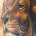 Tattoos - Color Jesus and Aslan/ Lion Tattoo - 61825