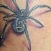 Tattoos - Color Mechanical Spider Tattoo - 56174