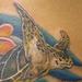 Tattoos - Realistic Turtle with Plumeria Tattoo - 55584