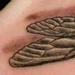 Tattoos - Dragonfly with Skull Pattern Tattoo - 55551
