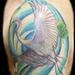 Tattoos - Realistic Birds Half Sleeve Tattoo - 55593