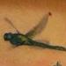 Tattoos - Color Hibiscus Flowers with Dragonfly Tattoo - 55563