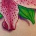 Tattoos - Full Color Stargazer Lily Tattoo - 55565