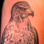 Tattoos - Realistic Red Tailed Hawk Tattoo - 119318