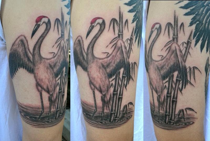 Japanese crane tattoos expose all the beauty of this bird