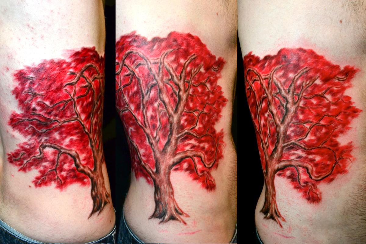 maple tree tattooTikTok Search