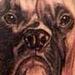 Tattoos - black and grey realistic boxer portrait tattoo - 57593