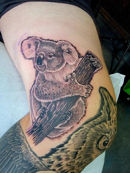 Tattoos - Koalaesque!! - 145942