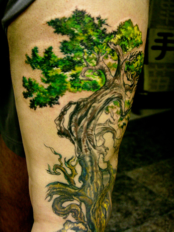 LITOS - TREE of LIFE in progress!