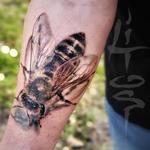 Tattoos - QUEEN BEE  - 145190