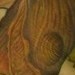 Tattoos - ginkgo tree - 48048
