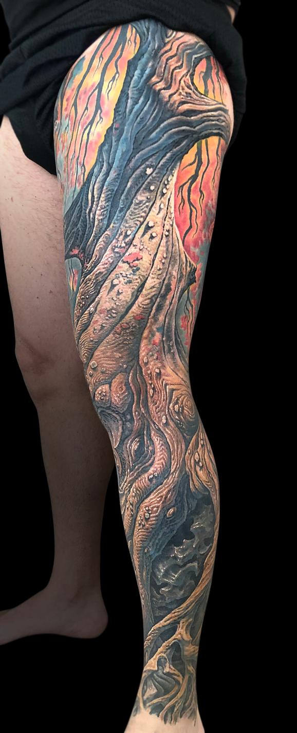 Guy Aitchison - Tree Leg Sleeve