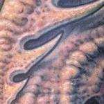 Tattoos - Eric InnerLeft Arm Web - 122020