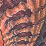 Tattoos - Eric Inner RightArm Web - 122021