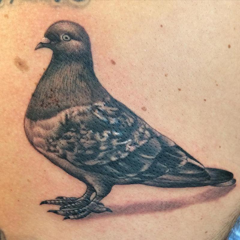 30+ Dove Tattoo Ideas: Small, Large, Meanings and Ideas - 100 Tattoos