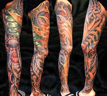 Guy Aitchison - Bio Leg Sleeve Coverup