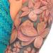 Tattoos - Margarets Native and Tropical Bodyset - 79801