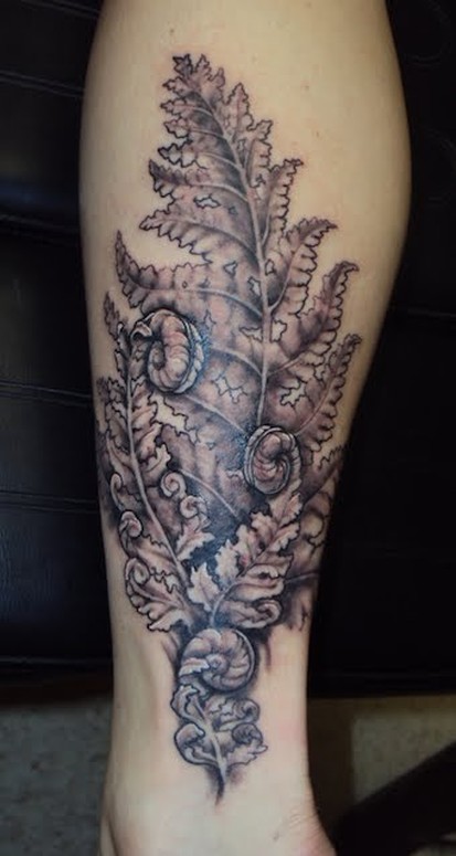 Speakeasy Custom Tattoo  Ferns by Sean Adams seanotattoo ferntattoo  fiddleheads speakeasycustomtattoo  Facebook