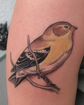 Tattoo of Birds, Animals, Goldfinches