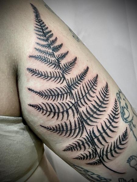 Tattoo ferns body art from nature  Fern Gardening
