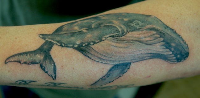 Humpback Whale By Shawn Hebrank Tattoonow