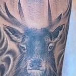 Tattoos - untitled - 144428