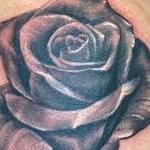 Tattoos - untitled - 144442