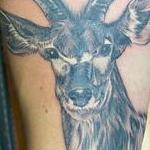 Tattoos - untitled - 144441