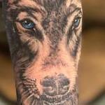 Tattoos - untitled - 144437
