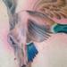 Tattoos - untitled - 95018