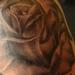 Tattoos - untitled - 95019