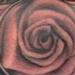Tattoos - untitled - 95023