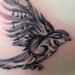 Tattoos - untitled - 95025