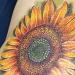 Tattoos - Flowers and butterflys  - 144410
