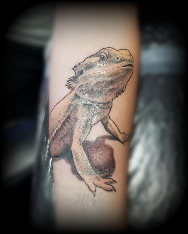 Keith on Instagram Portrait of Squish the bearded dragon         tattoo tattoos blacktattoo blackworktatt in 2023  12 tattoos Tattoos Bearded  dragon tattoo