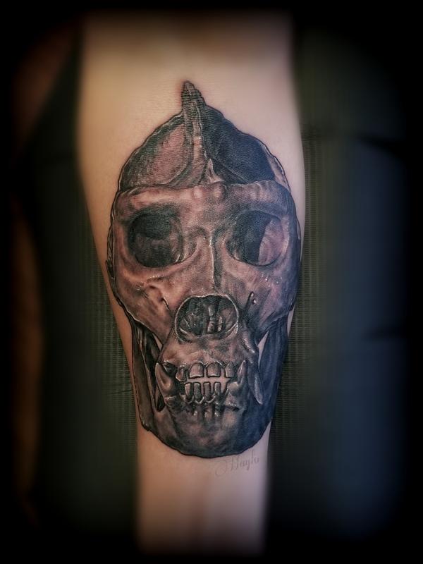 Pin by Javier de Mias on Gorilla  Dragon tattoos for men Animal skulls  Skull drawing