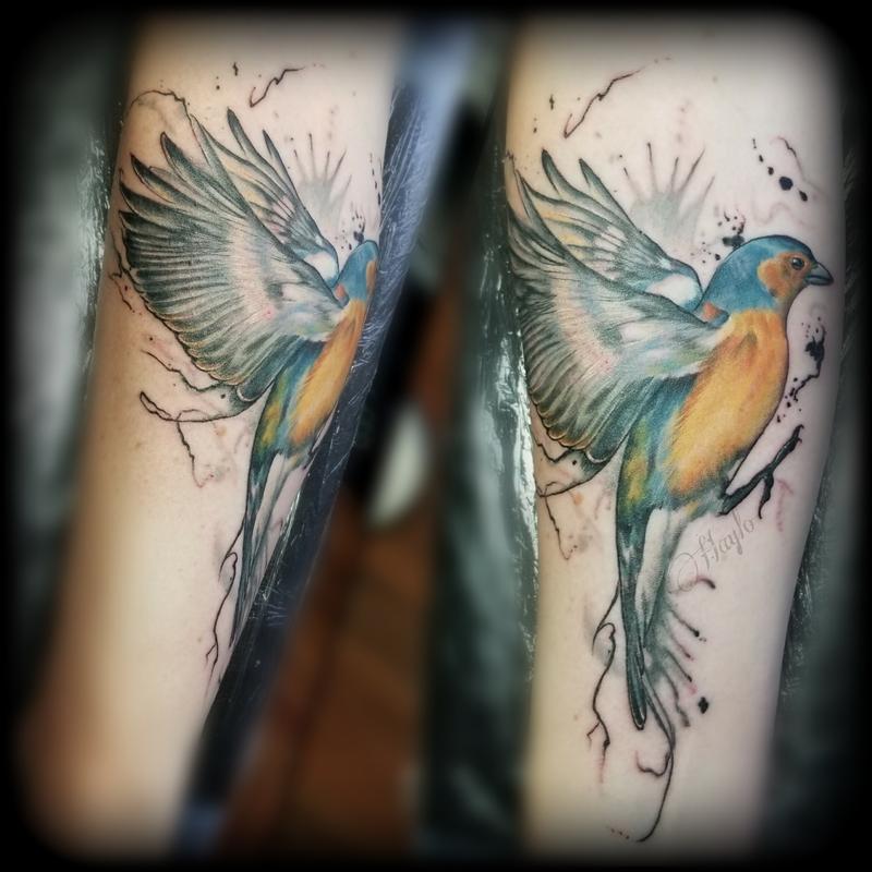 Blue Jay & Goldfinch Sleeve