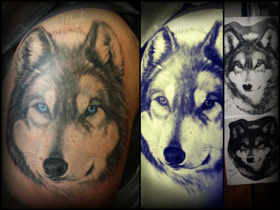 Realistic Style Black And Gray Wolf Half Sleeve Tattoo With Blue Eyes By  Haylo: Tattoonow