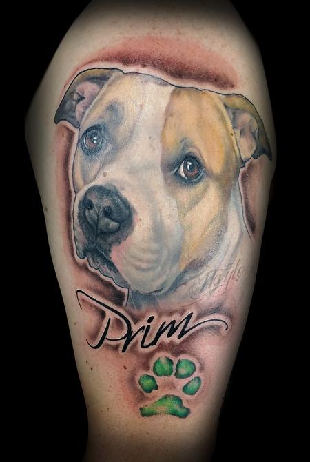 Tattoos - Pit Bull Portrait - 125208