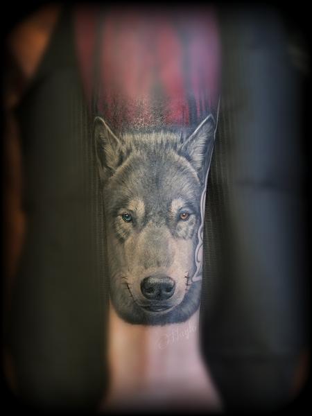 Tattoos - Wolf tattoo by Haylo  - 141126