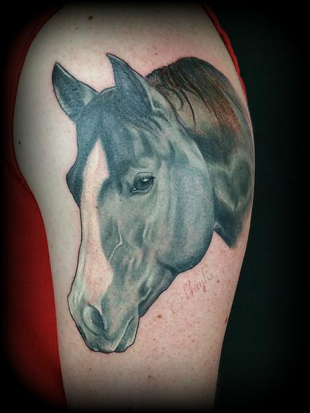 Haylo - Horse portrait tattoo