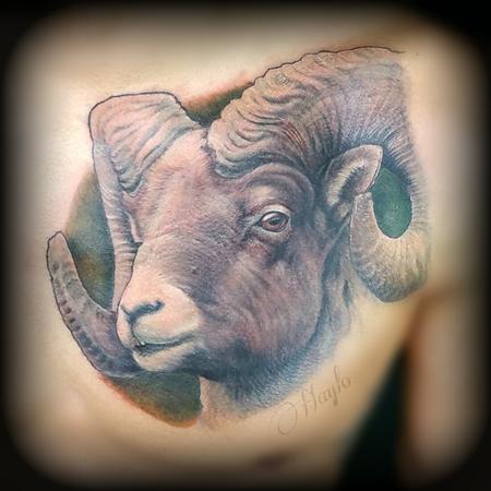 Haylo - Big horn sheep / ram tattoo