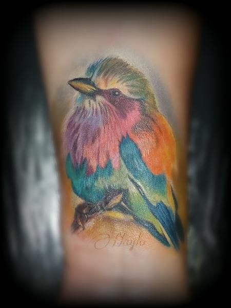 Tattoos - Bird wrist cover up - 126550