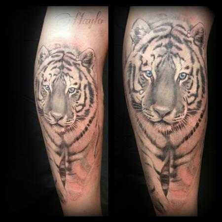 Tattoos - Realistic black and gray tiger piece with blue eyes - 104391