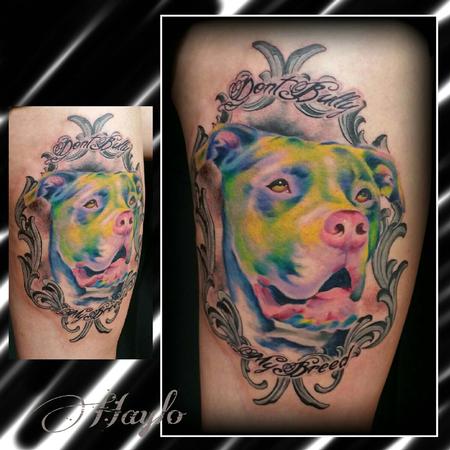 Haylo - Custom Watercolor style Pitbull Bully Breed with Frame