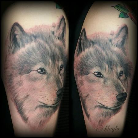 Tattoos - Realistic style black and gray wolf half sleeve tattoo - 109130
