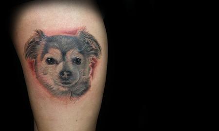 Tattoos - Long coated Chihuahua portrait  - 133024