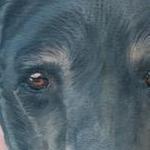 Tattoos - Dog portrait tattoo by Haylo  - 141176