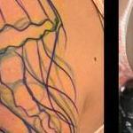 Tattoos - Watercolor Jellyfish tattoo by Haylo - 141177